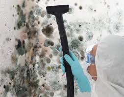 Why You Should Choose Our Mold Remediation Services in East Marion, NY